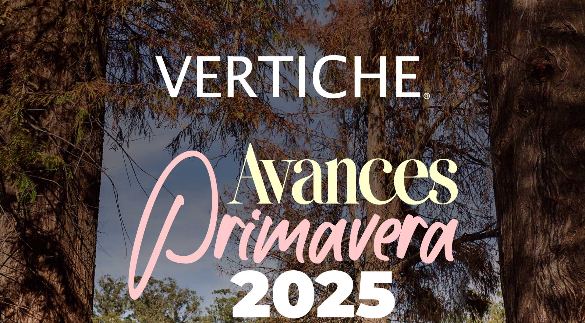 1 - Vertiche