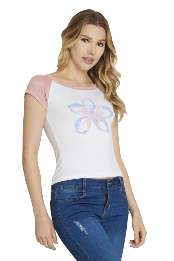 203898 ROSACLAR 1 - Vertiche
