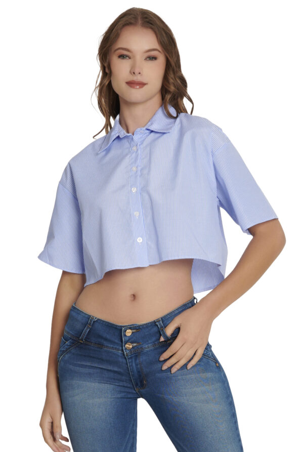 96331 AZUL 1 - Vertiche