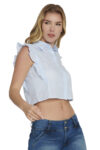 L12455-ROSAPAST-1