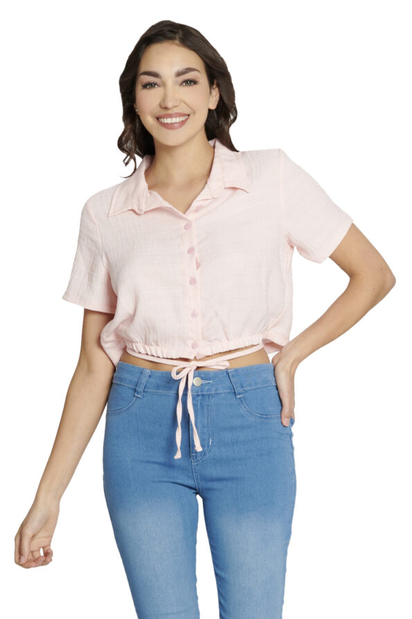 L13242 ROSACLAR 1 - Vertiche