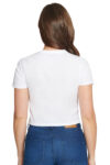 L13919-BLANCO-1