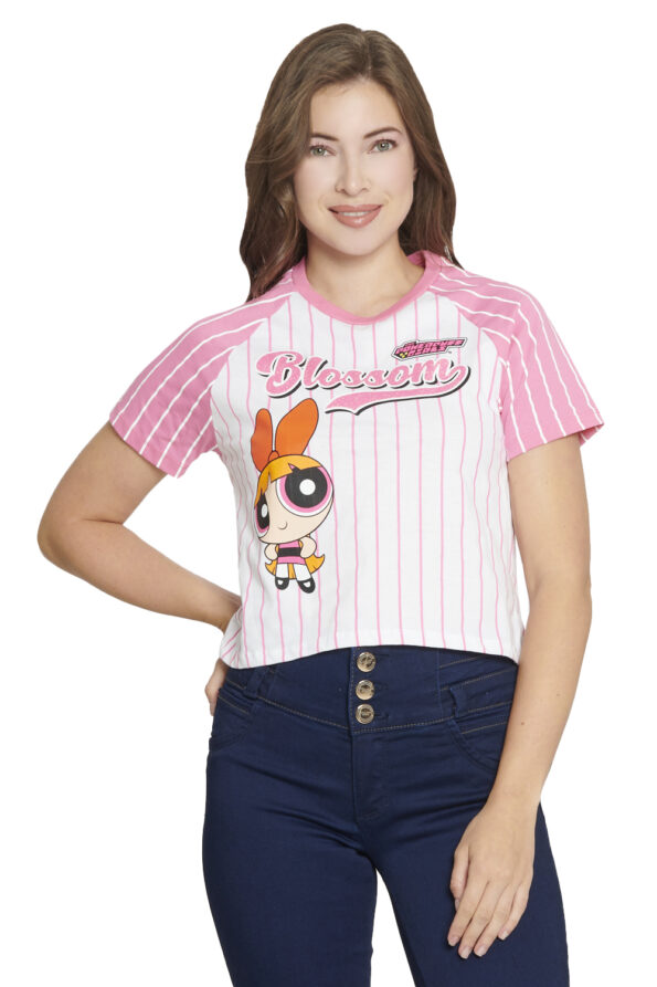 L13946 ROSA 1 - Vertiche