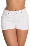 L8951-BLANCO-1