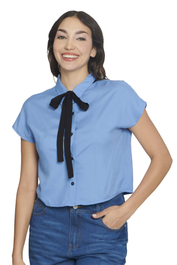 39697 AZUL 1 - Vertiche