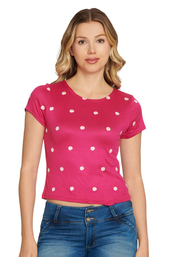 96842 ROSACITR 1 - Vertiche