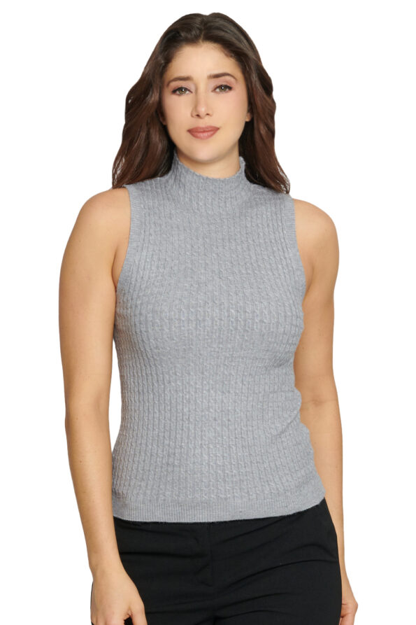 207278 GRIS 1 - Vertiche