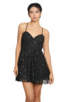 95223-NEGRO-1