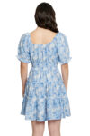 L13591-AZUL-1