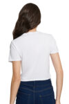 L13919-BLANCO-1