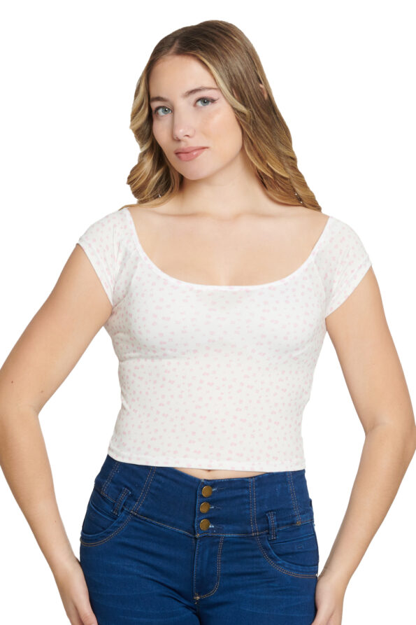 L14501 ROSA 1 - Vertiche