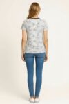 208204-GRIS-1