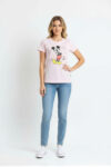 213298-ROSACLAR-1