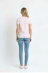 213298-ROSACLAR-1