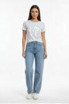 213838-GRIS-1